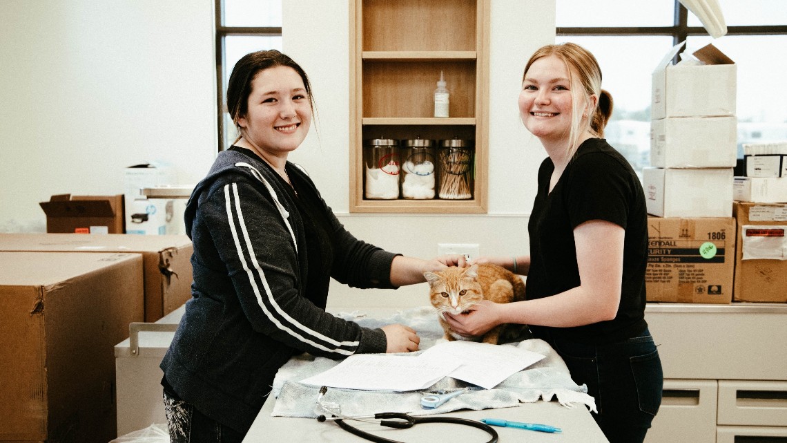 Two students practicing how to do exams on cats