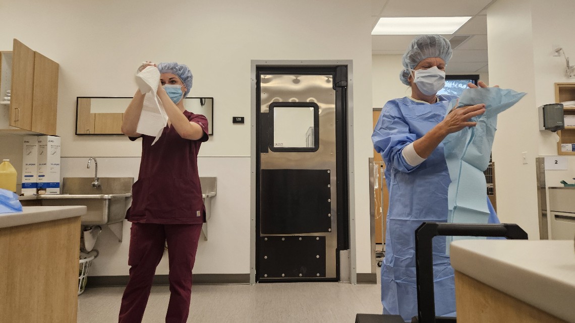 Dr Rockett and Student prepare for surgery through sterile scrubbing in