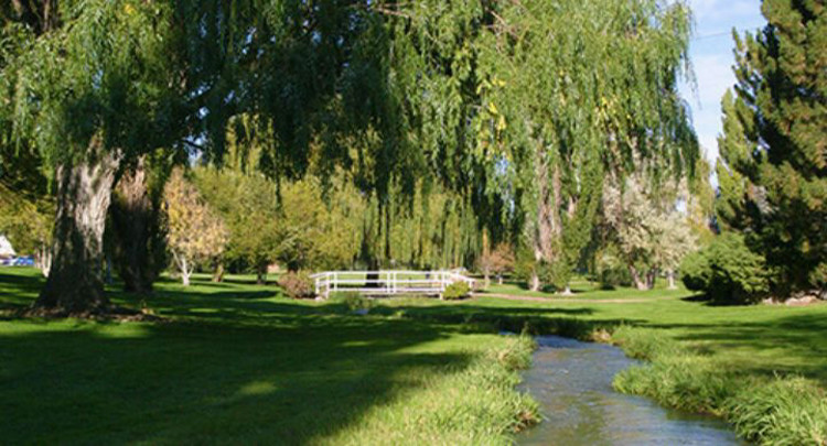 Image of the river at CSI