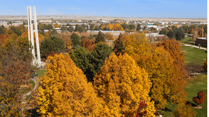 Picture of CSI tower with trees in the background